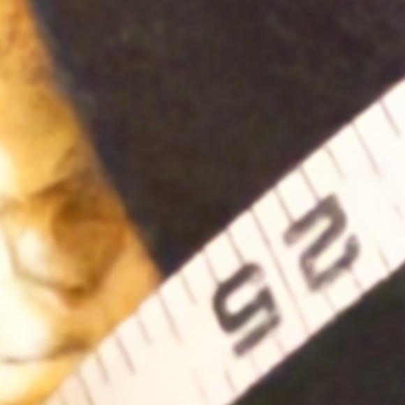 Social culture Black Graphic T-Shirt with California Dreaming Design hippie - Picture 5 of 6